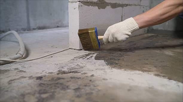 SJ Waterproofing Pros Waterproofing coverage map for Warrior, AL and surrounding area